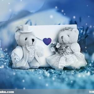 Meet your Posher, Kitty